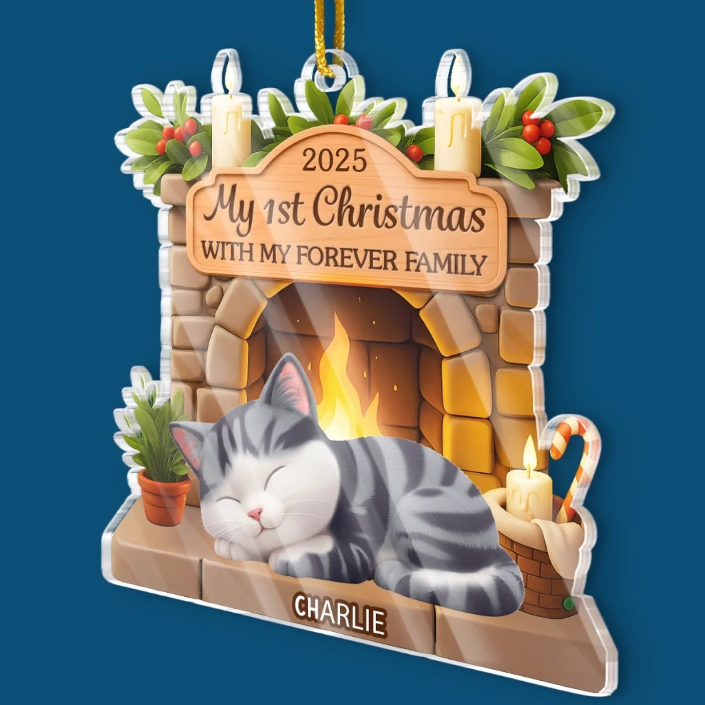 Custom First Christmas Acrylic Ornament - Personalized Christmas Birthday Gifts For Cat Lovers, Cat Mom And Dad - With My Forever Family