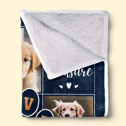 Custom Photo Thanks For Everything, I Had A Great Time - Memorial Personalized Custom Blanket - Sympathy Gift For Pet Owners, Pet Lovers