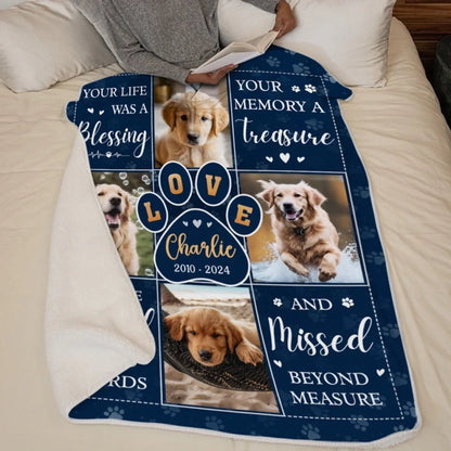 Custom Photo Thanks For Everything, I Had A Great Time - Memorial Personalized Custom Blanket - Sympathy Gift For Pet Owners, Pet Lovers