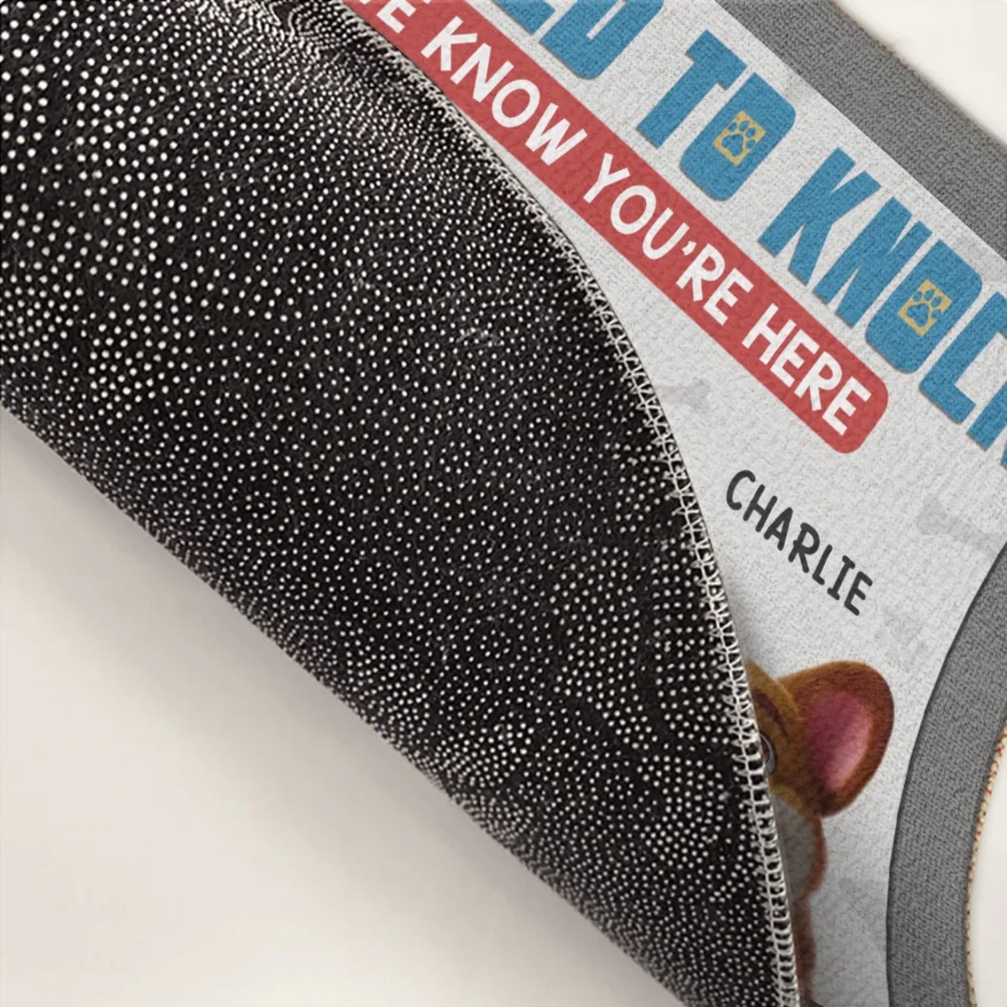 No Need To Knock We Know You Are Here - Dog Personalized Custom Home Decor Decorative Mat - House Warming Gift For Pet Owners, Pet Lovers