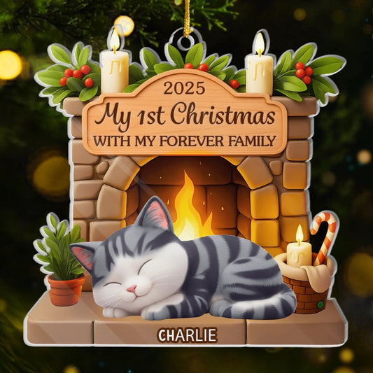 Custom First Christmas Acrylic Ornament - Personalized Christmas Birthday Gifts For Cat Lovers, Cat Mom And Dad - With My Forever Family