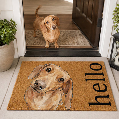 Custom Pet Portrait Funny Doormat Watercolor Art - Personalized Doormat