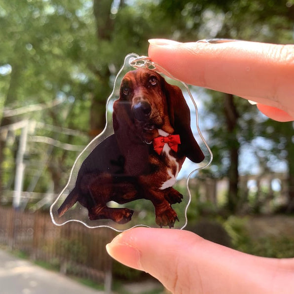 Personalized Pet Photo Acrylic Keychain, Custom Pet Memorial Gift, Dog Memorial Gift,Dog Keychain, Cat Keychain, Pet Photo Keyring