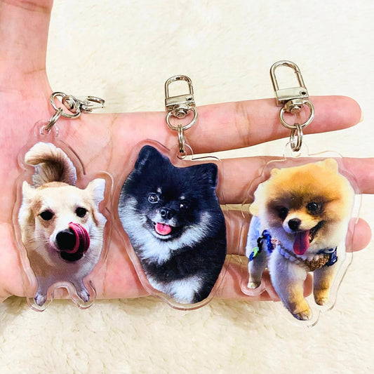 Personalized Pet Photo Acrylic Keychain, Custom Pet Memorial Gift, Dog Memorial Gift,Dog Keychain, Cat Keychain, Pet Photo Keyring